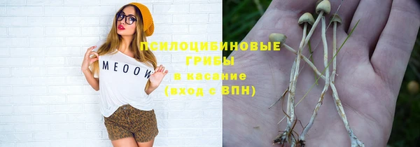 spice Армянск