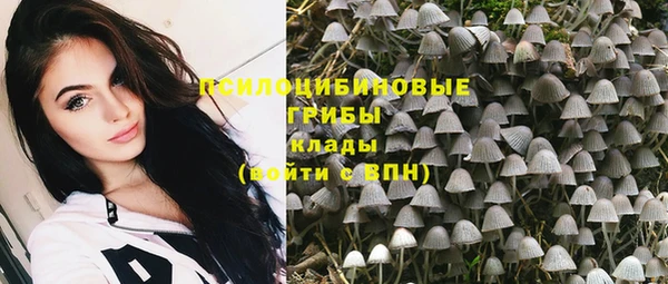 spice Армянск