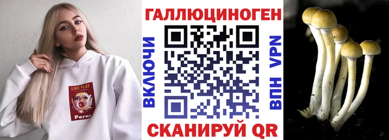 Псилоцибиновые грибы Magic Shrooms  Чишмы 
